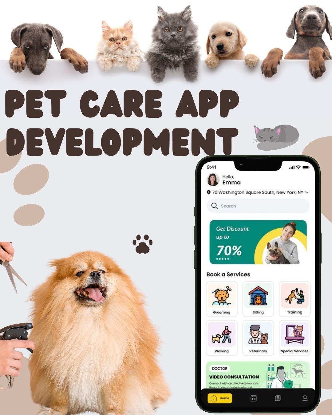 pet care app development.jpg