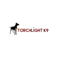 Torchlightk9